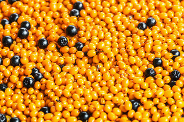 berries of sea buckthorn and black chokeberry. background.