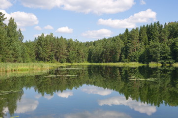 Fototapeta na wymiar Nature of Seliger. Lake Dohlets in Tver region, Russia 