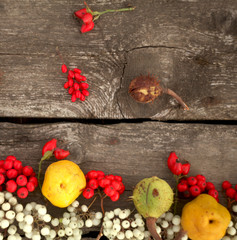 autumn background with rowan ,rose hip,chestnuts and quince on the rustic background