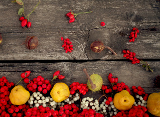 autumn background with rowan ,rose hip,chestnuts and quince on the rustic background