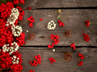 autumn background with rowan ,rose hip,chestnuts and quince on the rustic background