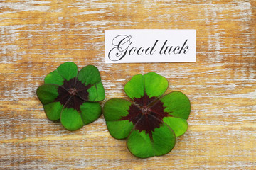 Good luck card with four-leaf clover on wooden surface
