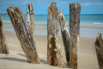 Coastal Erosion Protection Raven Point