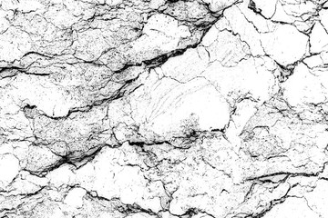 Fototapeta premium white marble background texture natural stone pattern abstract (with high resolution).