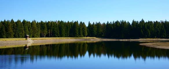 Reflection of forest trees in a lake. Historic mining pond near Clausthal-Zellerfeld in Lower Saxony, Harz mountains, Germany.
