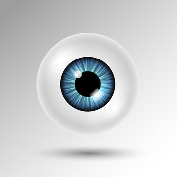 Vector 3d human eyeball with blue iris and shadow isolated on white background