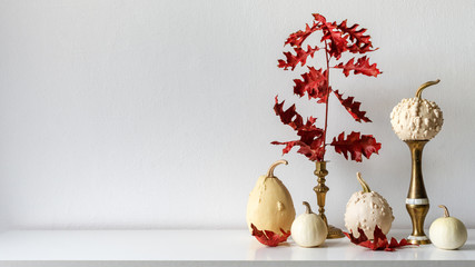 Thanksgiving decoration. Minimal autumn inspired room decoration. Selection of various pumpkins on white shelf against white wall.