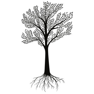 Silhouettes of Tree with Roots isolated on white background. Vector Illustration.