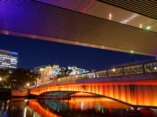 大阪中之島 夜の鉾流橋 公会堂と阪神高速の高架