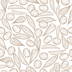 Shea. Leaves, fruit. Background, wallpaper, seamless. Sketch. Mo