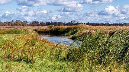 Narwiański Park Narodowy, Polska, Podlasie © podlaski49