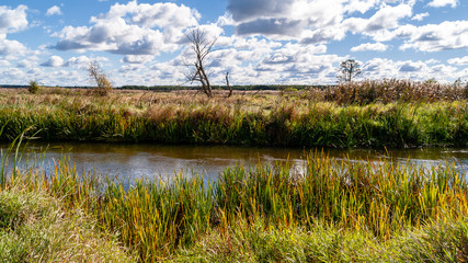 Narwiański Park Narodowy, Polska, Podlasie © podlaski49