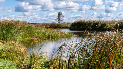 Narwiański Park Narodowy, Polska, Podlasie © podlaski49