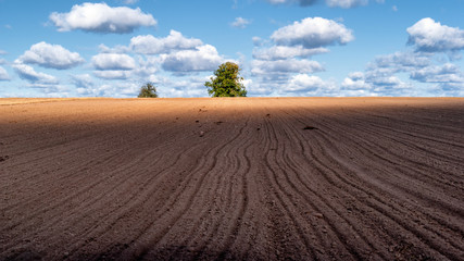 Narwiański Park Narodowy, Polska, Podlasie © podlaski49