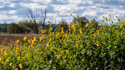 Narwiański Park Narodowy, Polska, Podlasie © podlaski49
