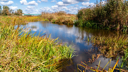 Narwiański Park Narodowy, Polska, Podlasie © podlaski49