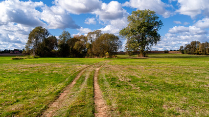 Narwiański Park Narodowy, Polska, Podlasie © podlaski49