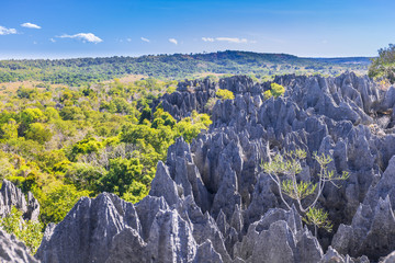 Tsingy de Bemaraha Strict Nature Reserve in Madagascar