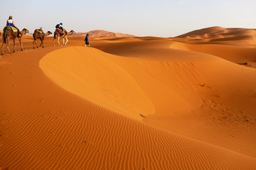 Camel caravan