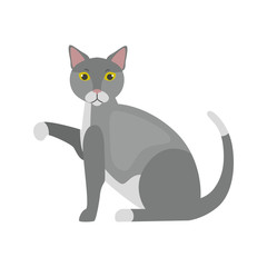 Home cat color vector icon. Flat design
