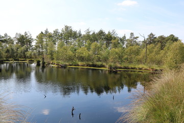 Pietzmoor in der Lüneburger Heide 