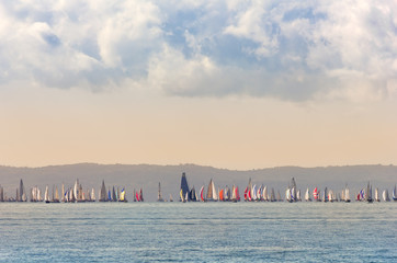 Crowded Regatta