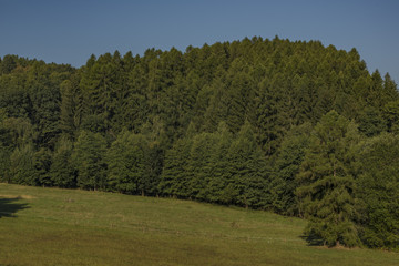 Obraz premium View from Ludvikovske pass with green forest