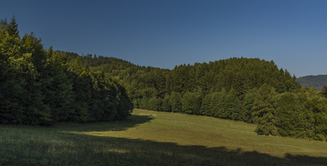 View from Ludvikovske pass with green forest