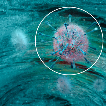 Virus, codice genetico, batteri e microrganismi visti al microscopio. Nuovi virus. Malattie e trasmissione infezioni