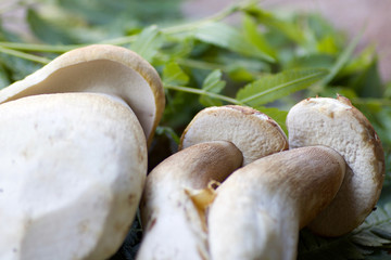 details of three porcini mushrooms,  green leaves background