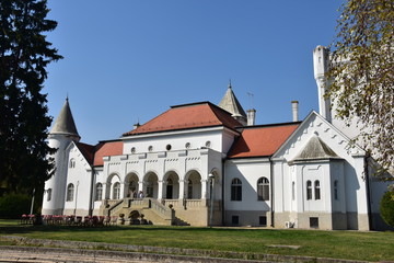 Fototapeta na wymiar Fantast Castle, Serbia - Image