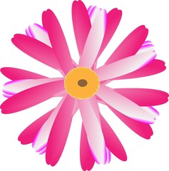 pink flower vector