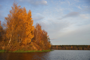 autumn landscape with river and trees