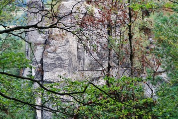 Felswand, Bastei-Region, Sächsische Schweiz