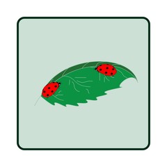 Ladybird on leaf. Illustration ladybug on white background. Cute colorful sign red insect symbol spring, summer, garden. Template for t shirt, apparel, card. Design element Vector illustration
