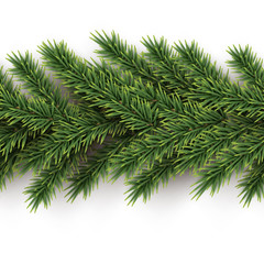 Fir branches horizontal seamless pattern. Vector seamless Christmas tree background.