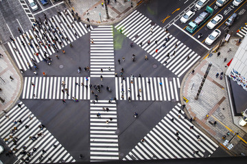 Crossing in Tokyo 