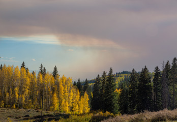 smoke from western forest fires above the changing fall colors