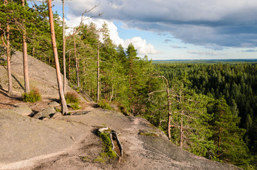 A view from the cliff over forest in finland. - 225064457