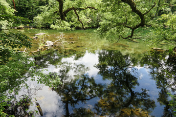柳沼　五色沼　裏磐梯