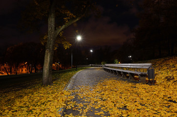 Autumn fallen leaves lie on the path in a city park at night. - 225064818