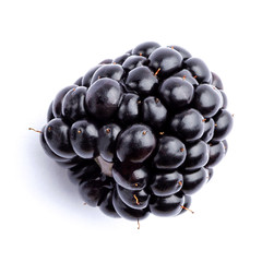 One blackberry and leaves