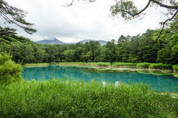 るり沼　五色沼　裏磐梯