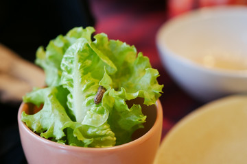 Worm on baby green cos lettuce salad in restaurant.
