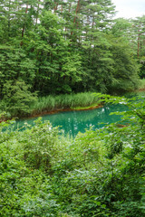 赤沼　五色沼　裏磐梯
