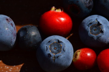 Forest berries blueberries and lingonberries on a wooden background
