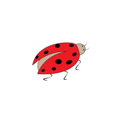 Ladybird sign. Illustration ladybug. Cute colorful sign red insect symbol spring, summer, garden. Template for t shirt, apparel, card, poster. Design element. Vector illustration.