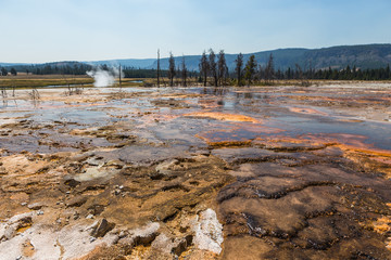 Multi-colored shallows against the backdrop of an erupting geyser in the distance, Yellowstone National Park, USA