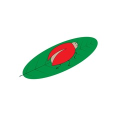 Ladybird on leaf. Illustration ladybug on white background. Cute colorful sign insect symbol spring, summer, garden. Template for t shirt, apparel, card. Design element. Vector illustration.