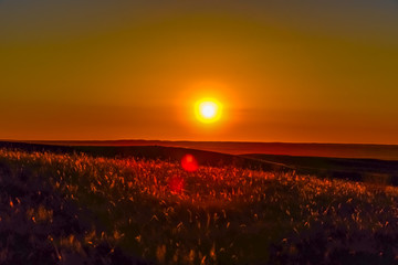 Grasslands Sunset